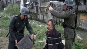 纳粹超人 在线观看,揭示极权主义下的疯狂幻想