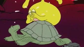 海龟爸爸爆料了吗视频播放,揭秘幕后真相